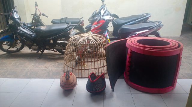 IMG-20230309-WA0026